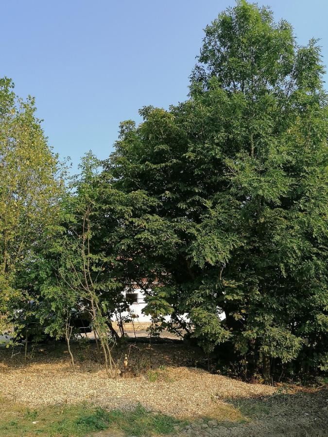Camping Weides Küps Exterior foto